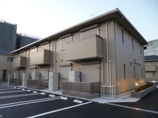 セイカーサBの画像