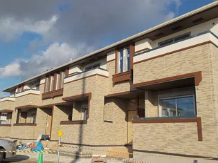 シュ シュの画像