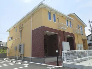 モーニング グローリーIVの画像