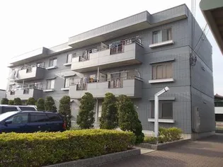 コスタ サンジョワールIの画像