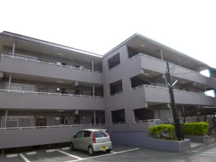 セルジュYS網干の画像