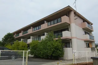 ロゼオ パラッツオ【3階】の外観