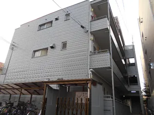 ハイムオリーブの画像