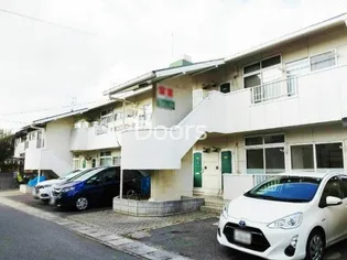 サンフラワー今の画像