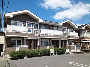 プリムローズCの画像