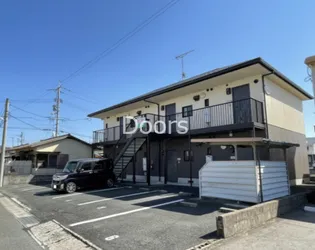 セフィラササキの画像