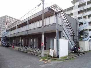 ダンディーアミの画像