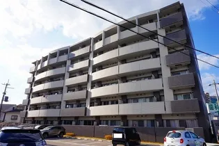 カンマキーノの画像