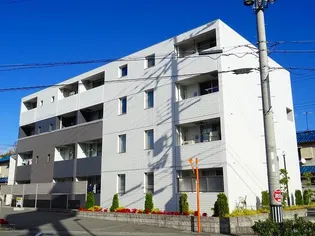 ミレ オレイユ ベルの画像