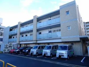 REINE NORD INOUEの画像