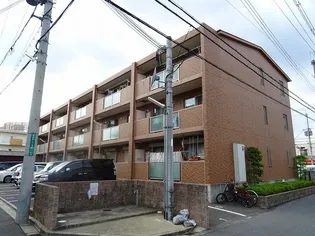 アムールカセイの画像