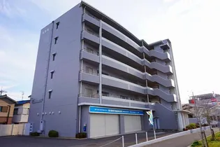 ルミナスベガの画像