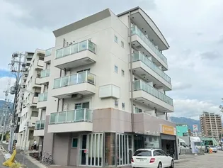 ミストラル摩耶の画像