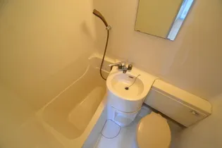 ル・パレ西灘【5A号室】の風呂