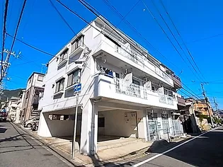 カーサツツイの画像