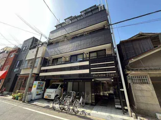 Haruma Flat【4階】の外観