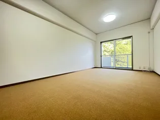 マンション住吉川【2階】の居間