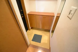 プレサンス新神戸【7階】の玄関