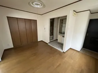 新田マンション【3階】の内装