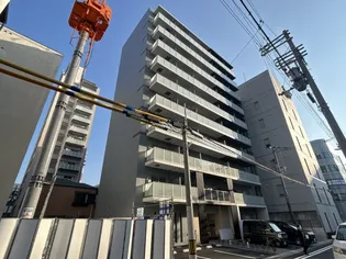 SECTOR PORTの画像