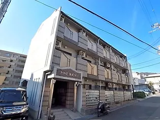 パインリッチ1の画像