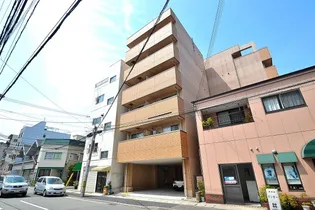 プリムローズの画像