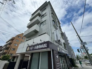 フォーライフ御影【2階】の外観