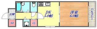 ビーハイツ北野【1階】の間取り