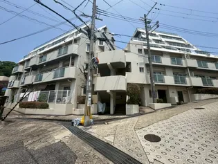 朝日プラザ丸山町の画像