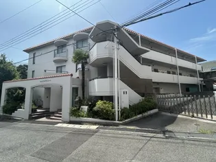 シャムロックIIコートの画像