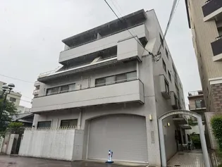 マローネンバウムの画像