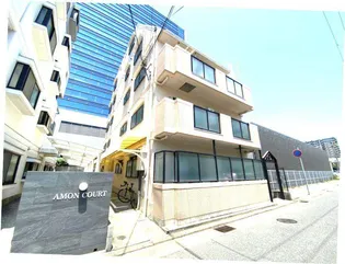 アモンコートIIの画像