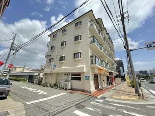 シャロームヒラノの画像