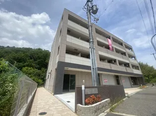 コンソラータ谷上の画像