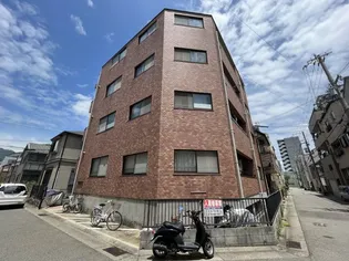 グリーンエクセルの画像