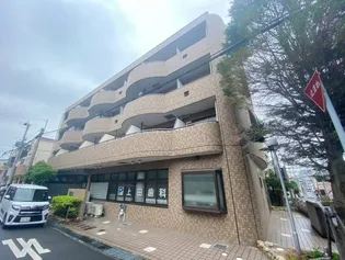 フォルティナドムスの画像