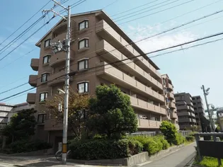 アーデンコート住吉川【4階】の外観