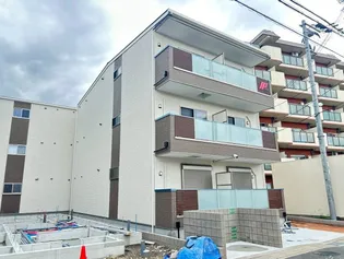 F ASESIA CANINAの画像