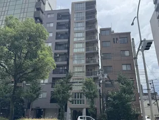 NESTY FLAT【7階】の外観
