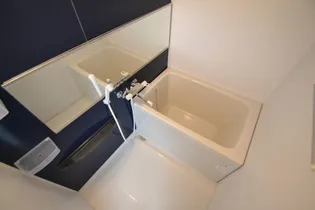 アバンサハウス【9階】の風呂