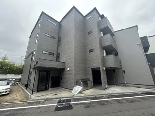 コートデイジーの画像