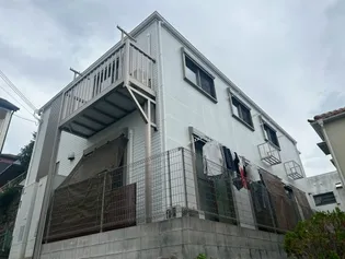 ホワイトベアードの画像