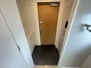 アバンサハウス【5階】の玄関