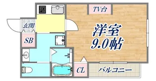 エヌエムサンカンテキャトフD棟【3階】の間取り