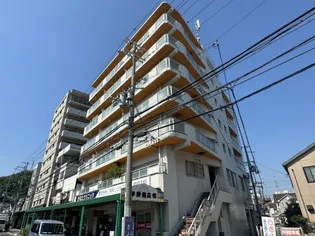 キャッスルハイツ平野【5階】の外観