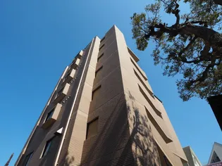 ウェルコート岡本【5階】の外観