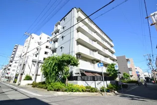 ドミール八雲【4階】の外観