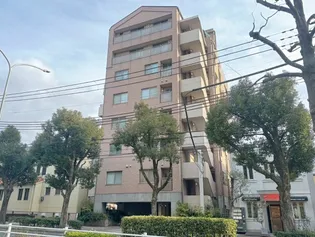 シェヌーア御影の画像