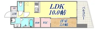 セレニテ神戸ミラクシュッド【6階】の間取り