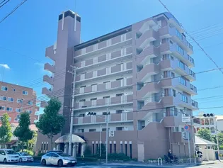 IVY HEIGHTSの画像